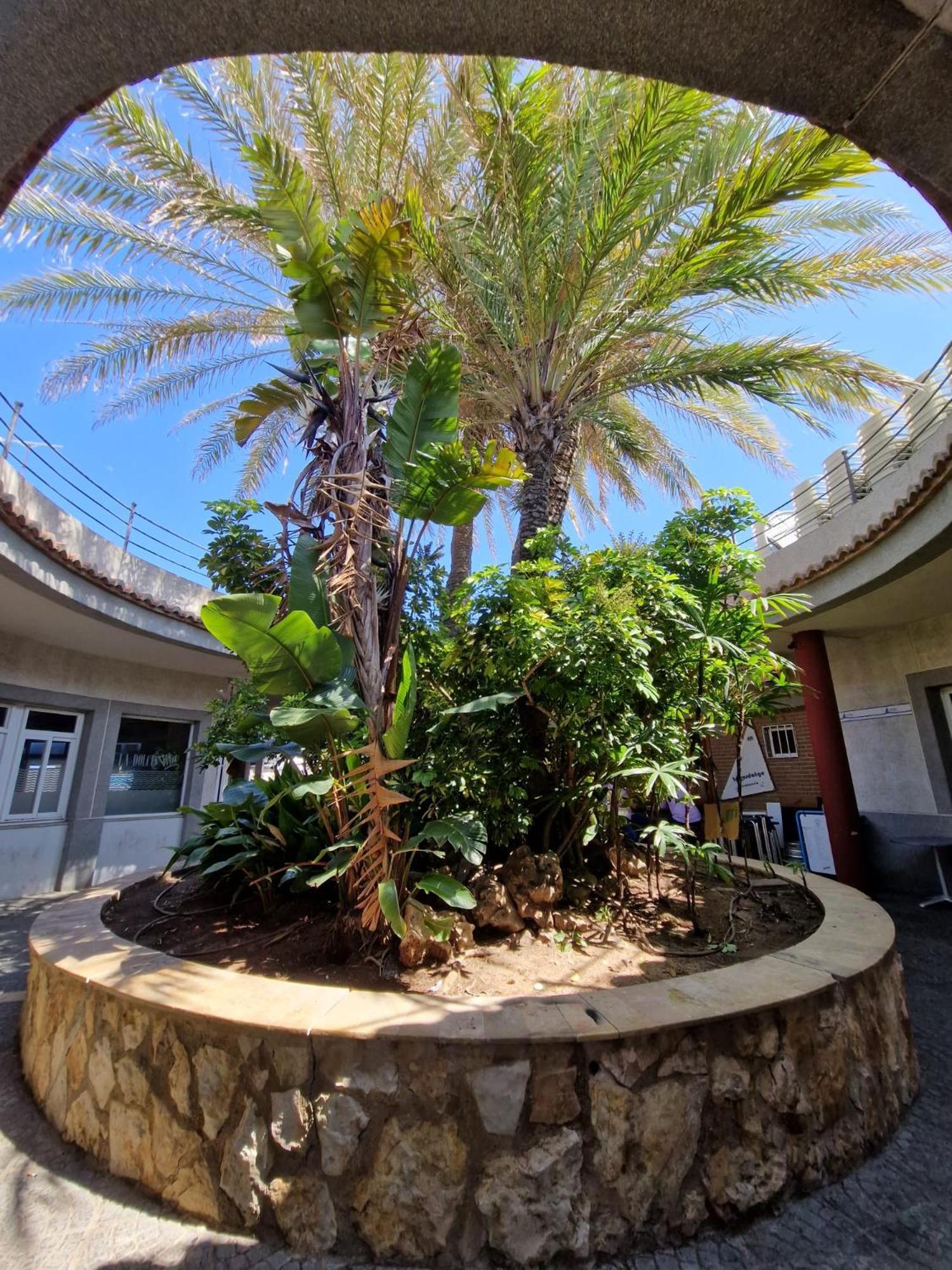 Apartamento Barbacoa, Piscina Y Playa ปวยบลา เด ฟาร์นัลส์ ภายนอก รูปภาพ